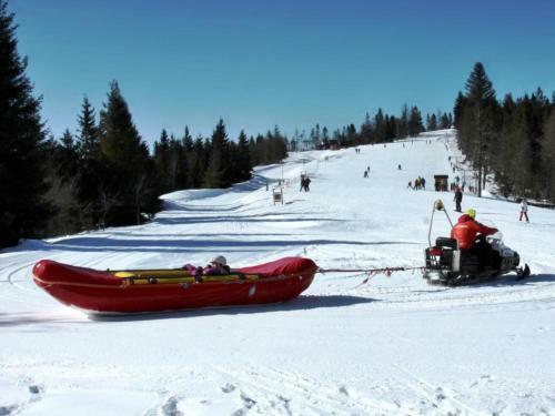 Hostal Penzi�n Ski Jezersko