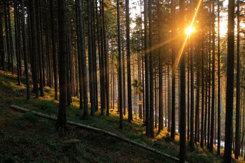 Horsk� Hotel Krist�na