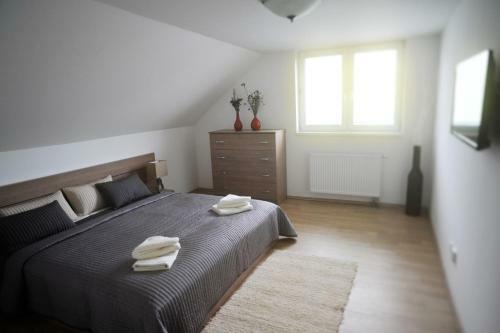 Apartm�ny Tepli?ka
