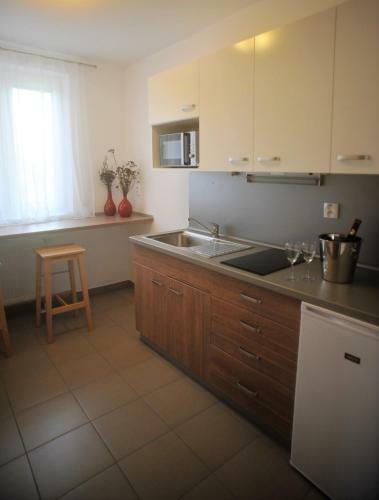 Apartm�ny Tepli?ka