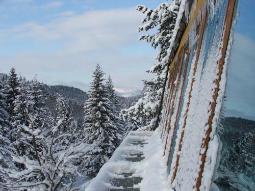 Holiday Park Orava Apartments