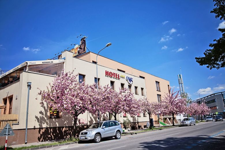 Hotel Oko