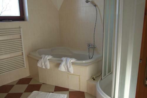 Apartm�ny Lesn�