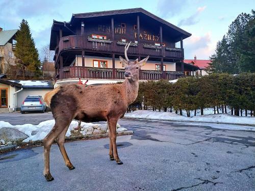 Hostal Penzion Pa?ick�