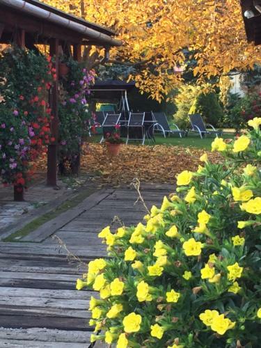 Hostal Holiday Resort ?v�rny