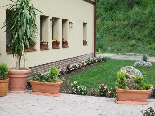 Hostal Penzi�n Drie?ovkou