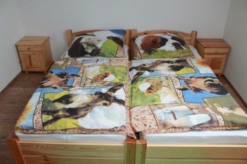 Hostal Penzi�n Drie?ovkou