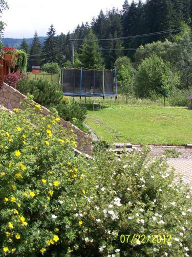 Hostal Margus Apartm�ny
