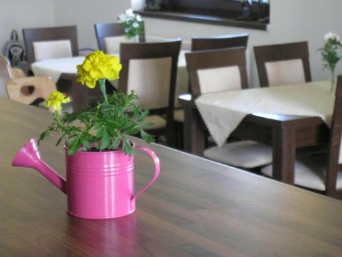 Hostal Villa Gold