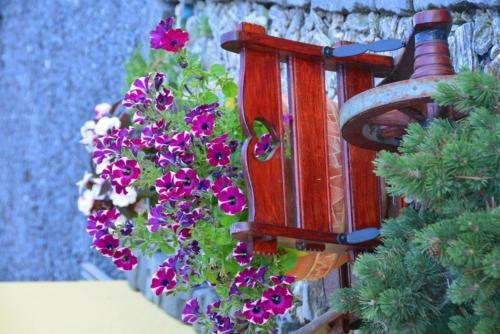 Hostal Villa Gold