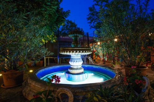 Hotel Centr�l ?a?a