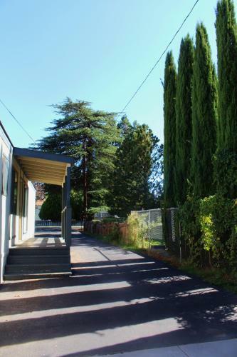 Bristlecone Motel