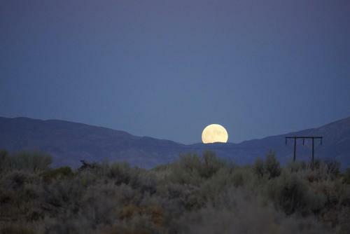 Bristlecone Motel