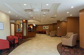 Hotel Holiday Inn Mount Prospect-chicago