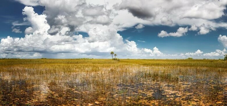 Hotel Miccosukee Resort & Gaming