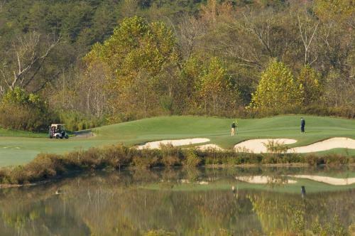 Hotel Brasstown Valley Resort & Spa