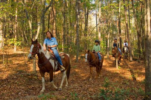Hotel Brasstown Valley Resort & Spa