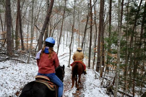 Hotel Brasstown Valley Resort & Spa