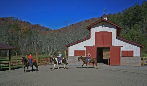 Hotel Brasstown Valley Resort & Spa