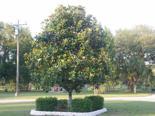Deerwood Resort Motel And Campgrounds