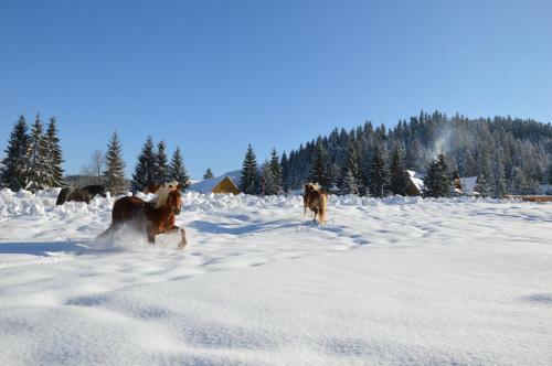 Lodge Drevenica Zuberec