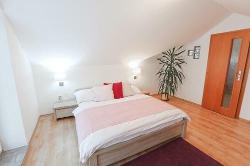 Hostal Penzion Modul
