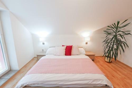 Hostal Penzion Modul