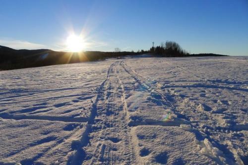 V�kendov� Dom U Vasila