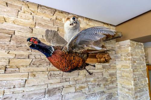 Horsk� Hotel K?ak