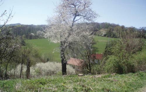 Holiday Home Hronska Dubrava