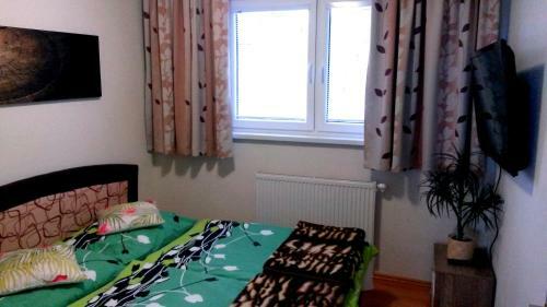 Pine Wood Apartment