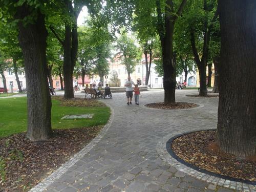 Hostal Penzi�n A Re?taur�cia U Jele?a