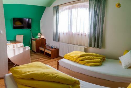 Hostal Penzion U Pejtrika
