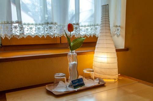 Hostal Penzion U Pejtrika