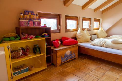 Hostal Penzion U Pejtrika