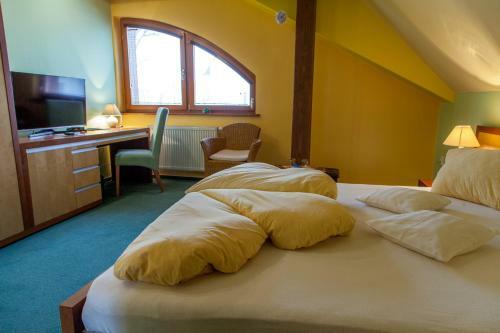 Hostal Penzion U Pejtrika