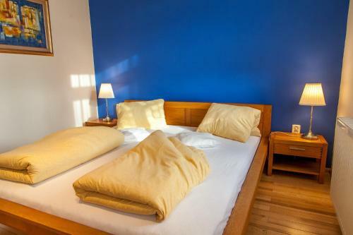 Hostal Penzion U Pejtrika