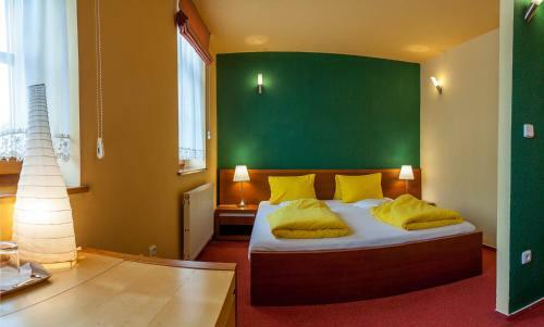 Hostal Penzion U Pejtrika