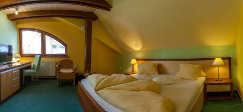 Hostal Penzion U Pejtrika