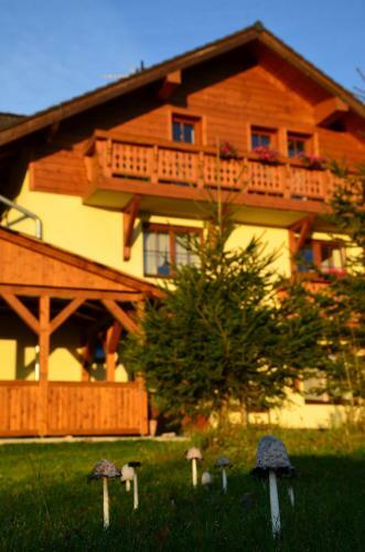 Privat Iva Smokovec