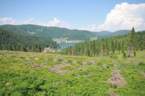Hostal Penzi�n Pastier?a
