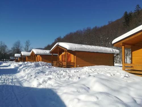 Camping Bel�