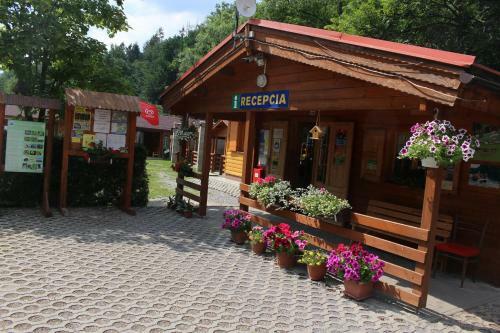 Camping Bel�