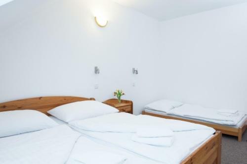 Hostal Penzion Jordan