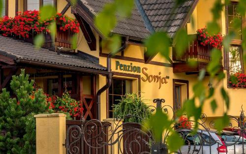 Hostal Penzion Sonja