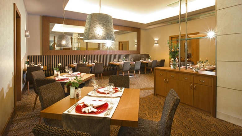 Hotel International