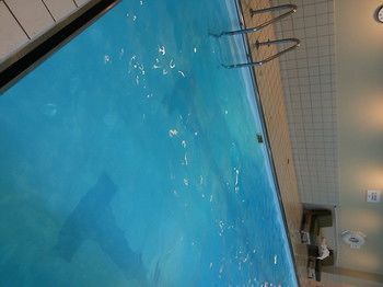 Hotel Hyatt Place Mohegan Sun