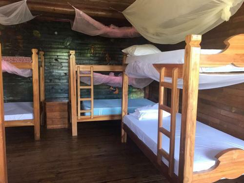 Isla Roots Hostel