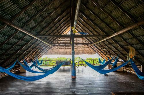 Isla Roots Hostel
