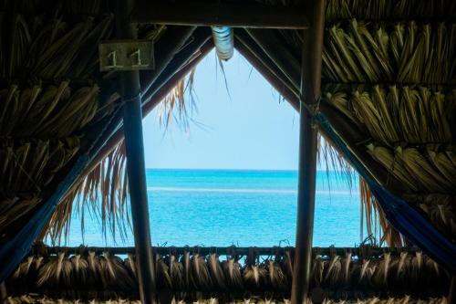Isla Roots Hostel